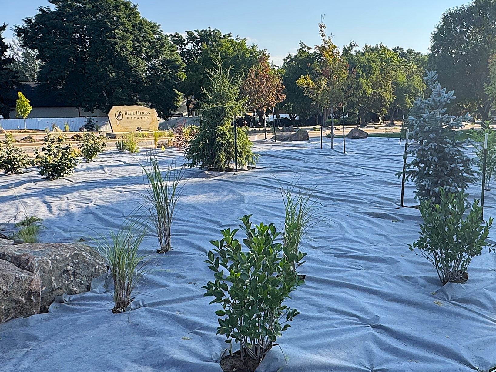 Completed commercial landscape installation