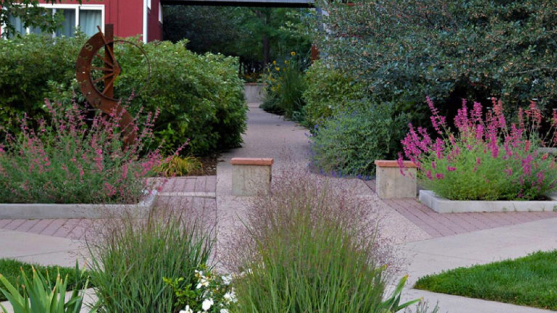 Broomfield, Colorado landscaped property