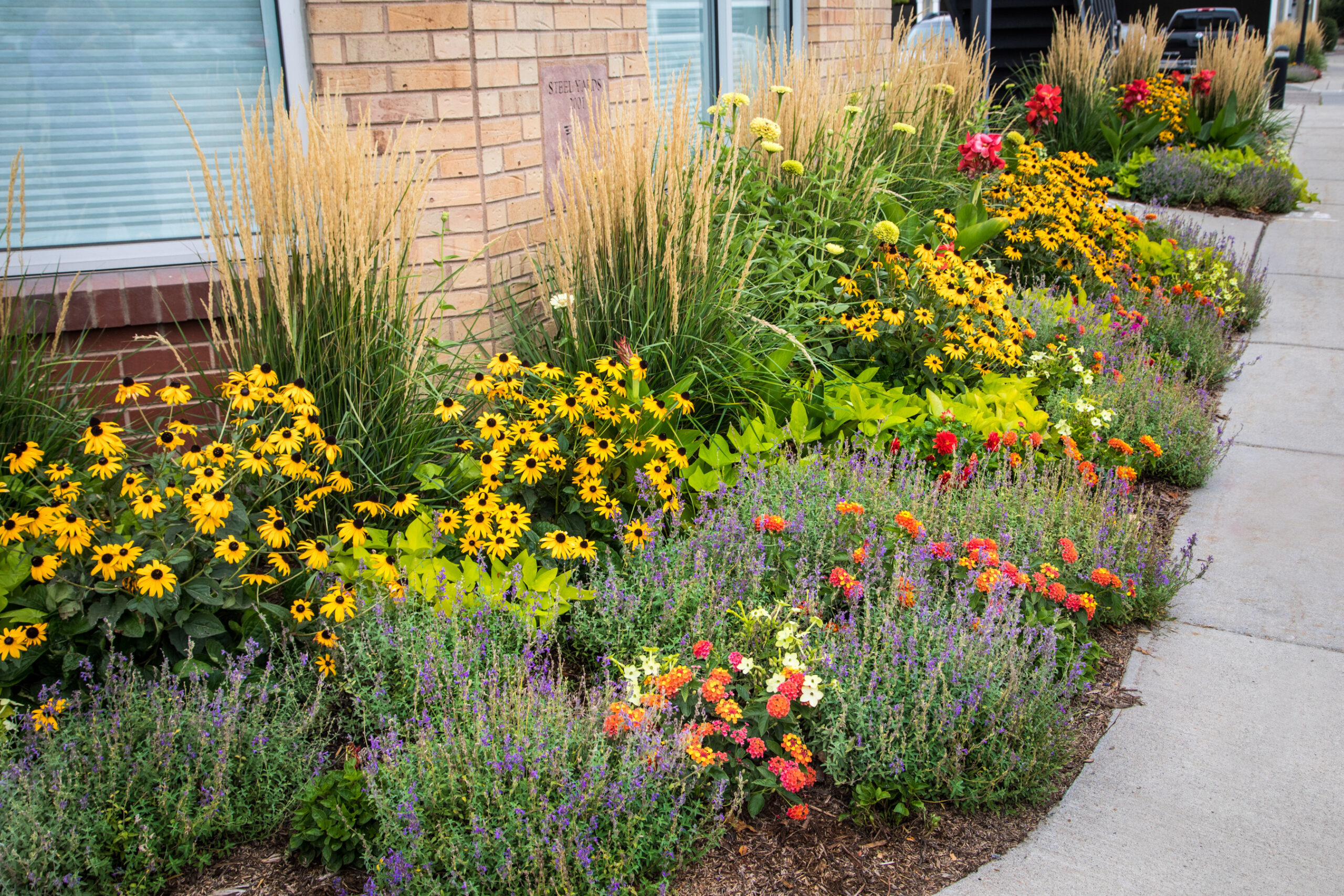 HOA community entrance landscape renovation