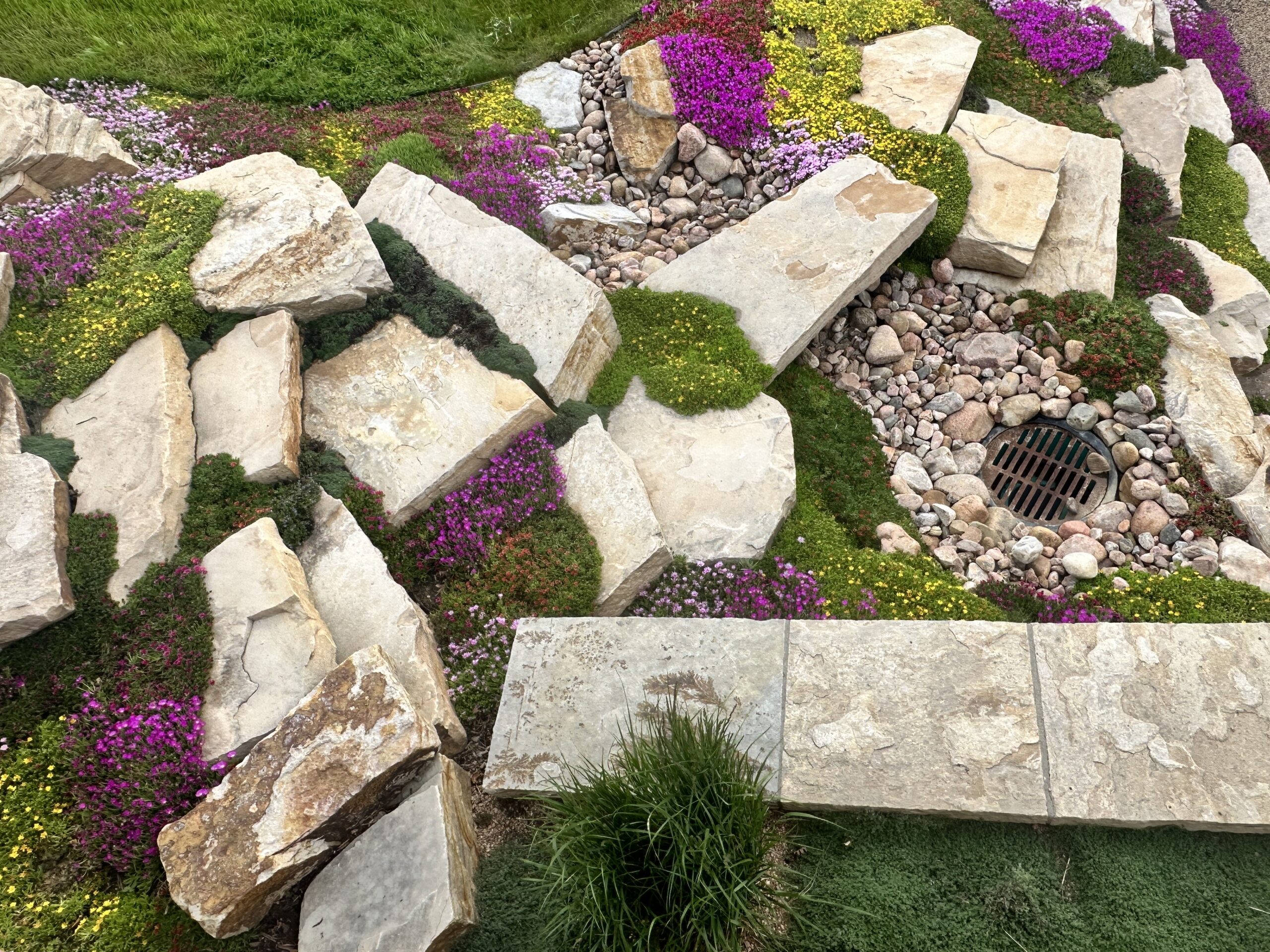 Plantings project by Native Edge Landscapes