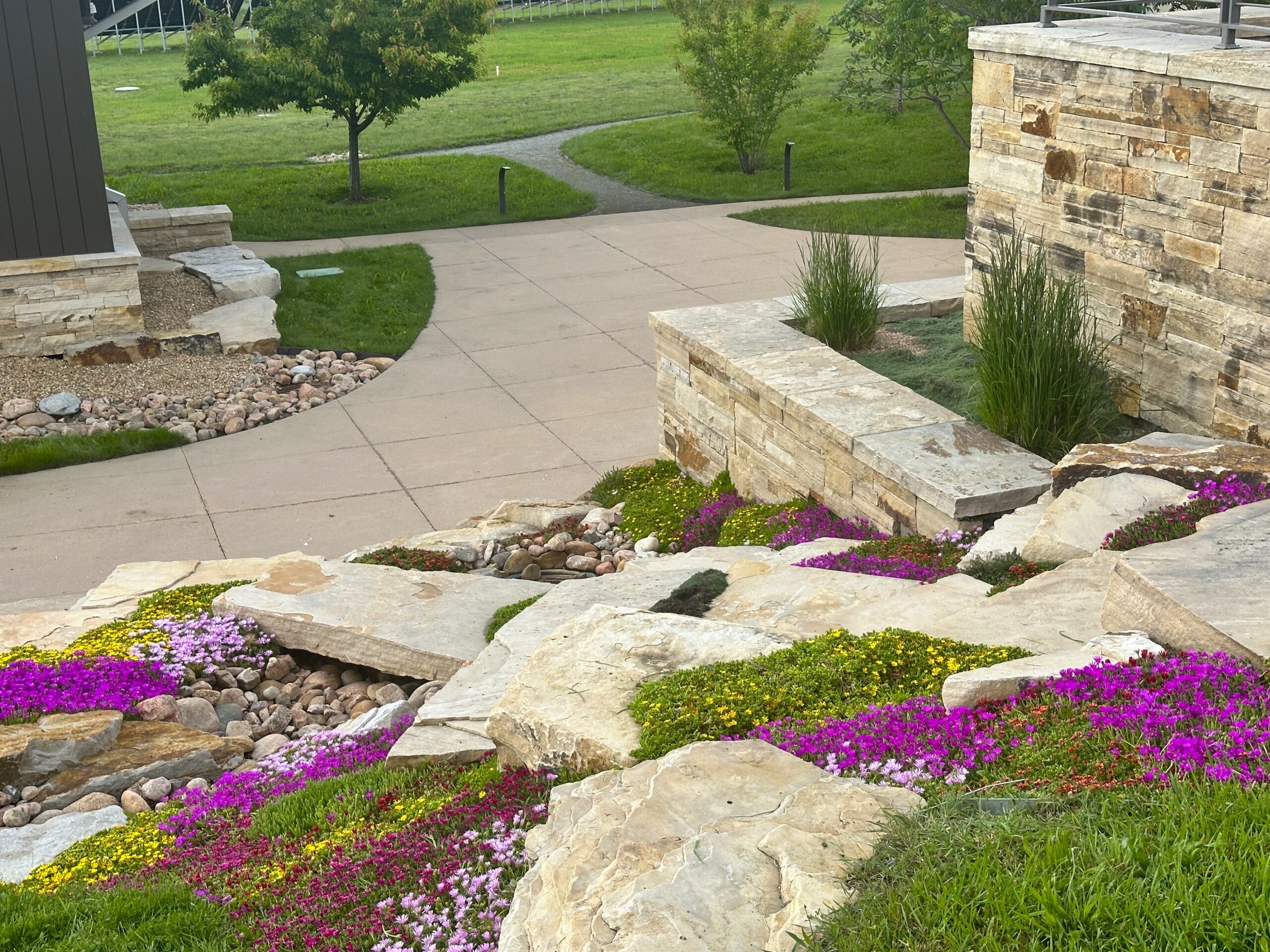 Plantings project by Native Edge Landscapes