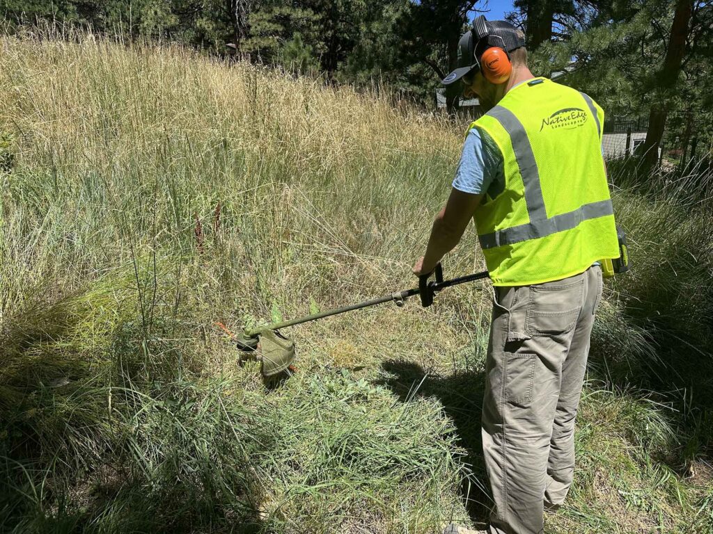 Man using weedwacker Native Edge Landscaping Boulder Colorado
