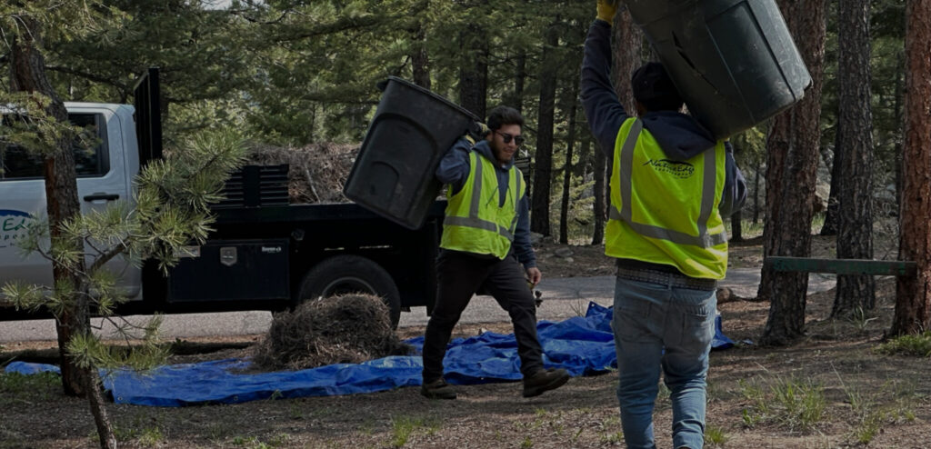 Men clearing out ourdoor fire hazards Native Edge Landscaping Boulder Colorado