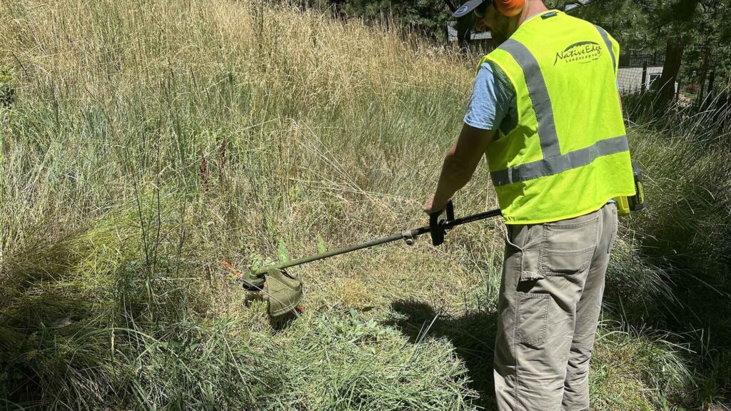 Man using weedwacker Native Edge Landscaping Boulder Colorado