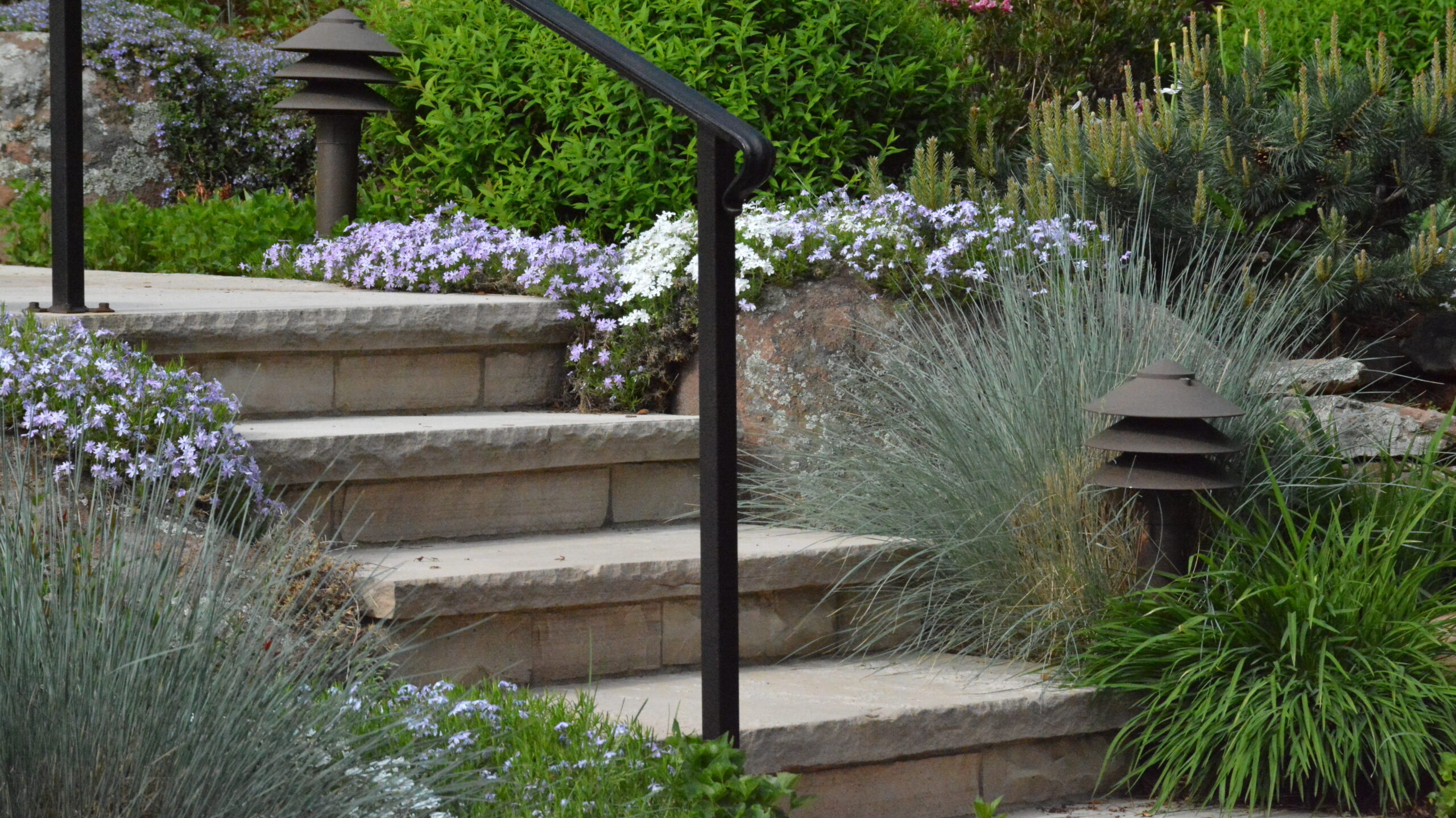 Outdoor Landscaping Native Edge Landscaping Boulder Colorado